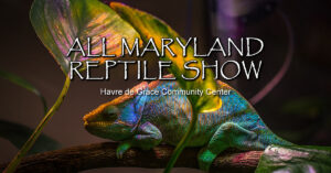 2024 Maryland Holiday Reptile Show