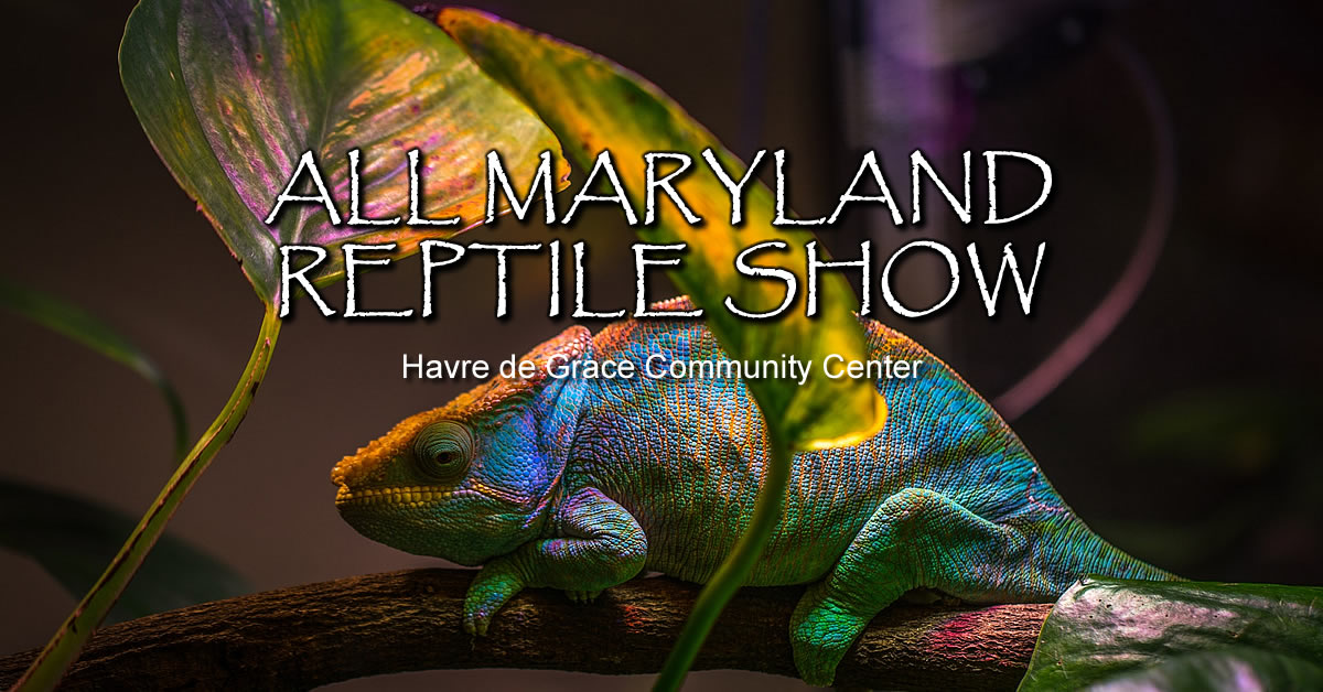 2025 Maryland Winter Reptile Show Havre De Grace, MD