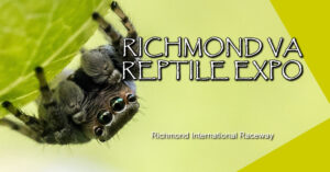 2024 Richmond Fall Reptile Expo
