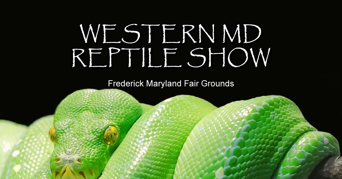 2024 Frederick Spring Reptile Show Frederick, MD
